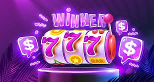 56d bet com
