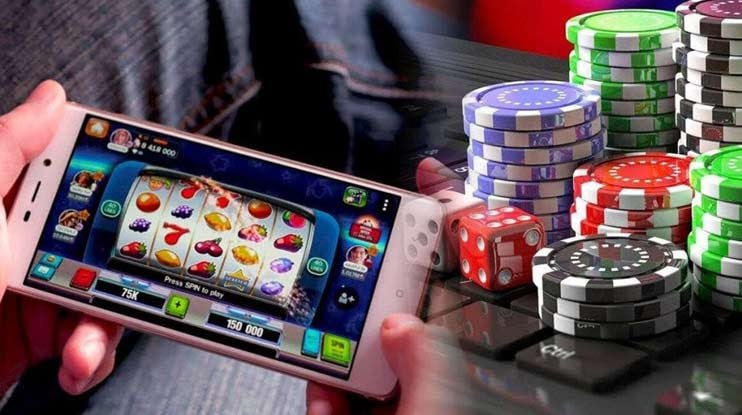 56d bet com